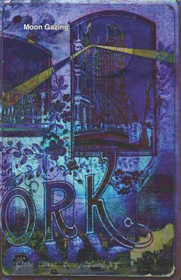 Read online Moon Gazing: Moon Phases Journal, Notebook, And New Moon Planner - Mary Hirose | PDF