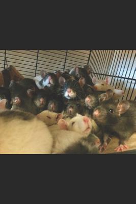 Read Journal: A pet rat themed notebook journal for your everyday needs -  file in ePub