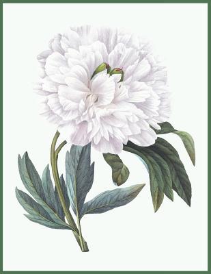 Read Notebook White Peony: Blank journal. 150 pages, Soft cover, A4  (21.59 x 27.94 cm) 8,5 x 11 inch - 3jt Publishing file in PDF