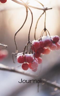 Download Journal: A5 5x 8 126 page Dot bullet journal, notebook, diary with a red berries with frost in the winter on the cover - Marvs Publishing | ePub